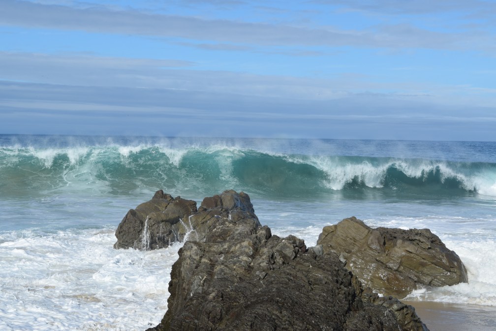 beach somewhere at Monterey beach