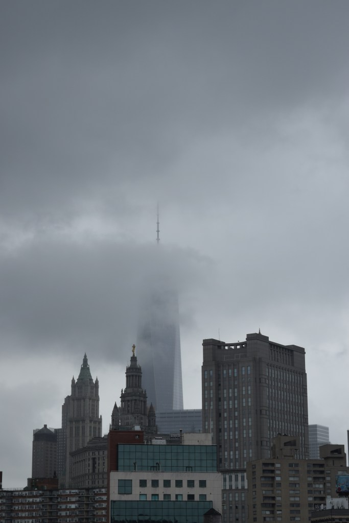 Reaching up in the skies...Indomitable Spirit